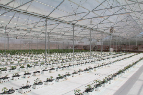 Free HTML5 Bootstrap Template by GetTemplates.co